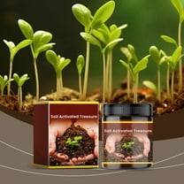 PHIGZNT Premium Soil Activated Treasure - Organic Soil Activator & Plant Fertilizer for Raised Garden Beds, Potting Mix, and Seedling Compost (100g-1Pcs)