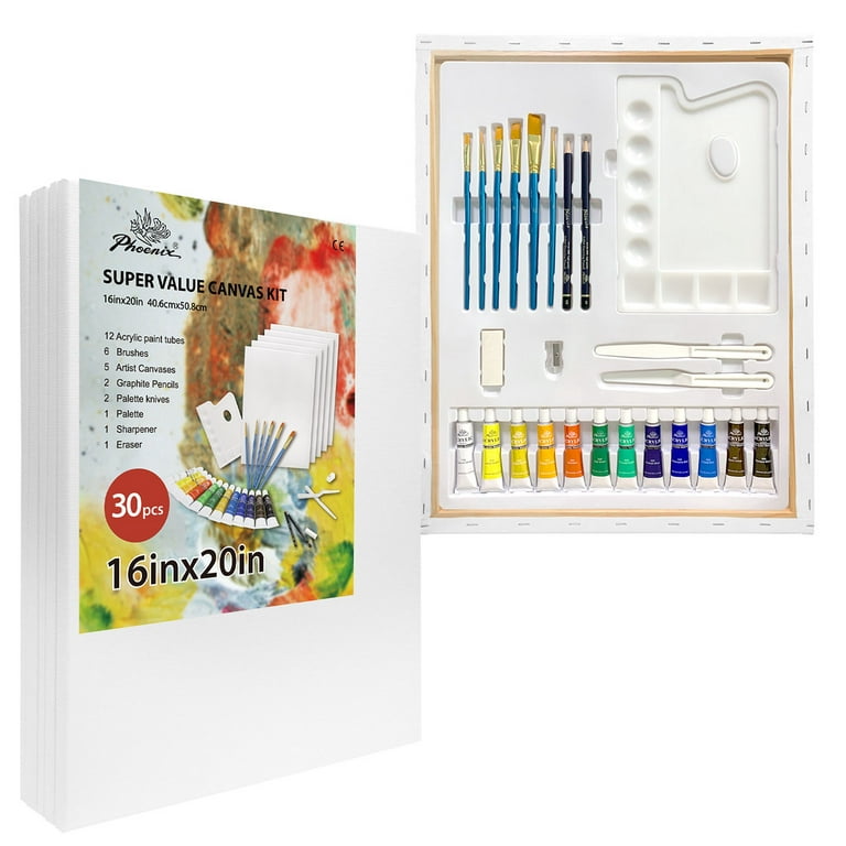Kids Canvas Painting Set 6 Paint Brushes 12 Tubes of Acrylic Paint 2  Canvases