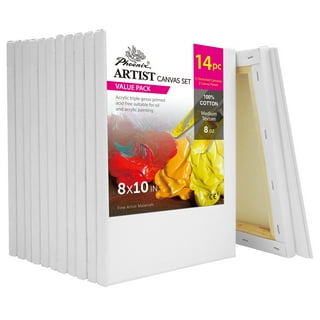 Lartique Professional Acrylic Paint Set, 47 Piece Paint Set for
