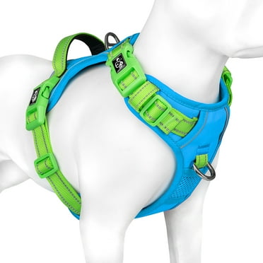 PHOEPET No Pull Dog Harness, Unique Colors Reflective Adjustable Dog Vest, with Soft Training Handle Metal Clips for Small Medium Large Dogs (Blue Base & Green Straps)