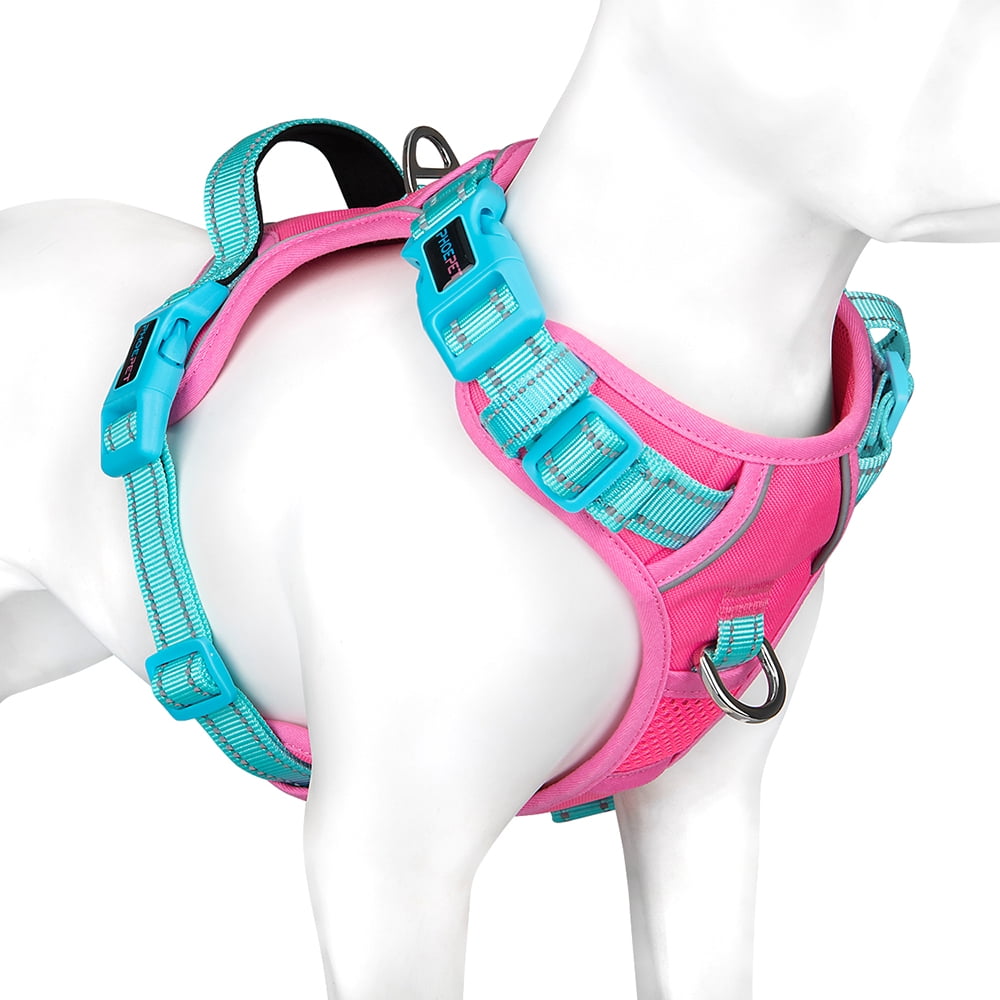 Photo inspiration: Phoepet No Pull Dog Harness Unique Colors Reflective Adjustable Dog Photo Inspiration