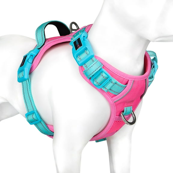 PHOEPET No Pull Dog Harness, Unique Colors Reflective Adjustable Dog Vest, with Soft Training Handle Metal Clips for Small Medium Large Dogs (Pink Base & Green Straps)