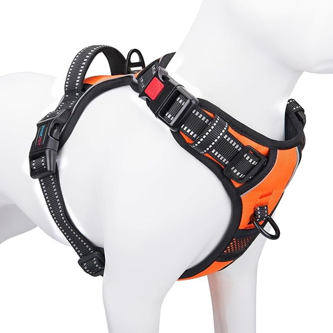 Front clip harness for small dogs online