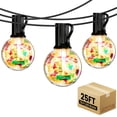 thumbnail image 1 of PHOPOLLO 25 ft G40 Outdoor String Lights, Globe Lights with 12+1 Shatterproof LED Bulbs (E12 Base), Waterproof Hanging Lights for Patio, Garden, Christmas Decor, 1 of 6