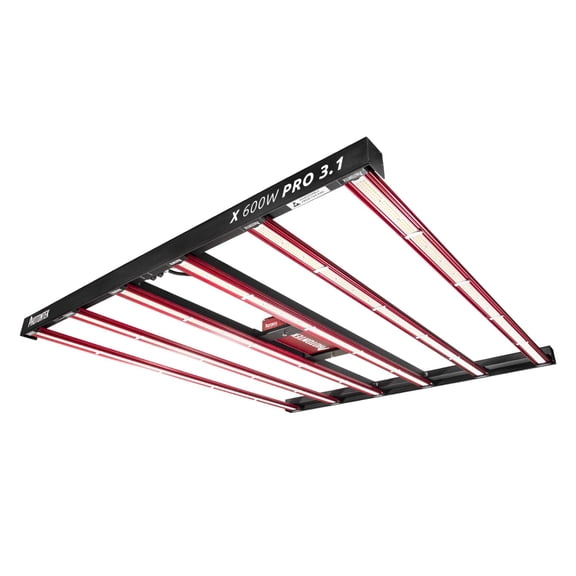 PHOTONTEK X 600W PRO 3.1 LED