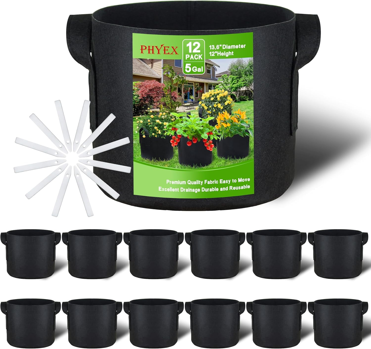 house plants potted Easy Care Variety Bundle