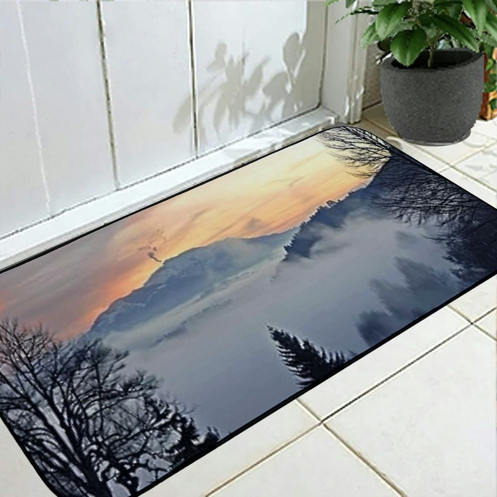 PHYHOO Decorative Door Mat, Door Mat with Non-Slip Rubber Backing, Easy Cleaning, Traps Dirt, Rug for Entry, Patio, Garage - Black Forest Rhine Valley Winter Clouds Panorama 19.68*47.24 in