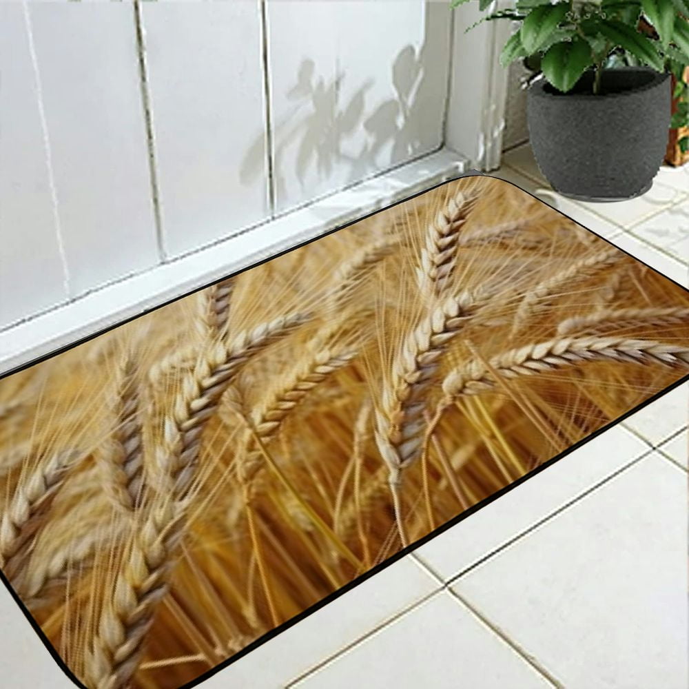 PHYHOO Decorative Door Mat, Door Mat with Non-Slip Rubber Backing, Easy Cleaning, Traps Dirt, Rug for Entry, Patio, Garage - Spike Barley Cereals Barley Field Nature Field 19.68*47.24 in