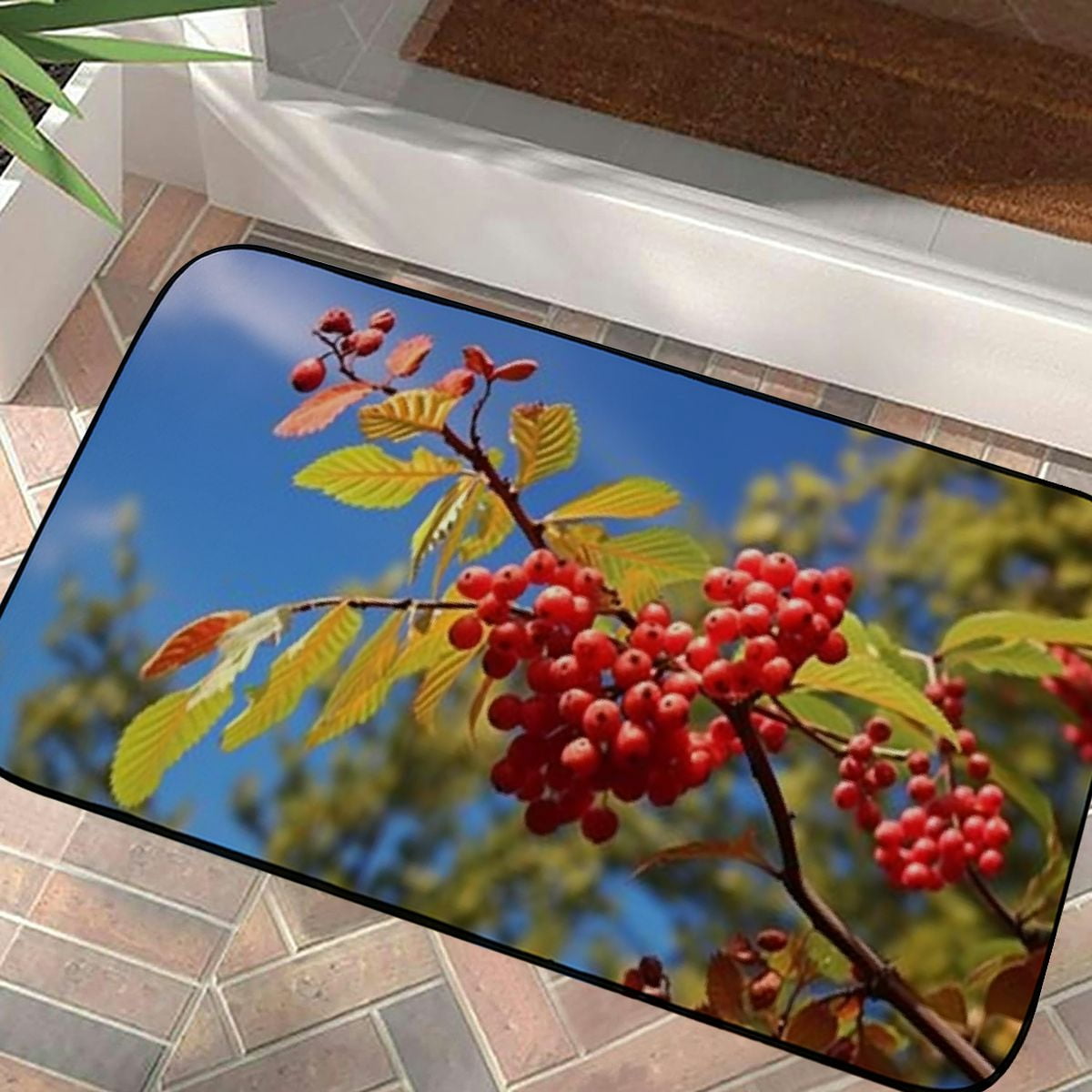 PHYHOO Decorative Door Mat, Door Mat with Non-Slip Rubber Backing, Easy Cleaning, Traps Dirt, Rug for Entry, Patio, Garage