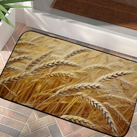 PHYHOO Decorative Door Mat, Door Mat with Non-Slip Rubber Backing, Easy Cleaning, Traps Dirt, Rug for Entry, Patio, Garage - Spike Barley Cereals Barley Field Nature Field 19.68*39.37 in
