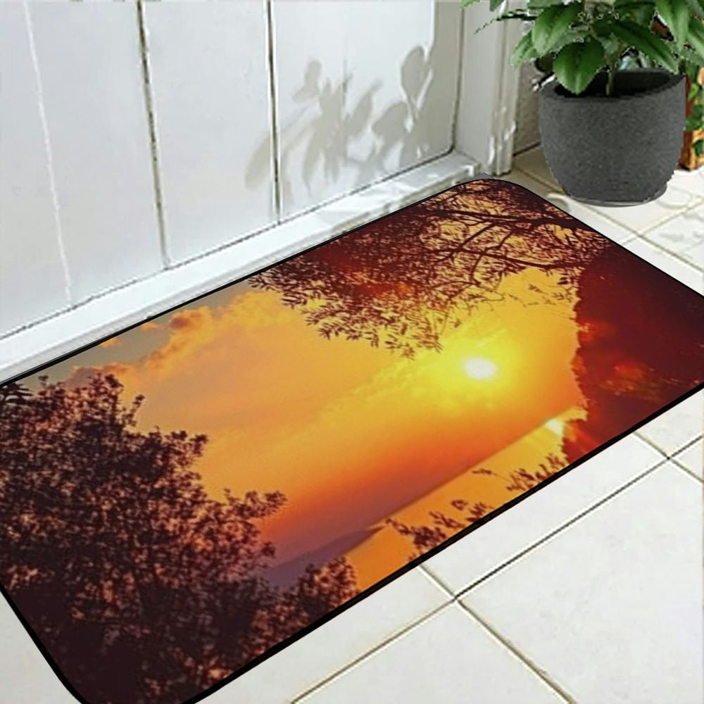 PHYHOO Decorative Door Mat, Door Mat with Non-Slip Rubber Backing, Easy Cleaning, Traps Dirt, Rug for Entry, Patio, Garage - Sun Sunset Sea Water Corfu Greece Trees Plants 19.68*47.24 in