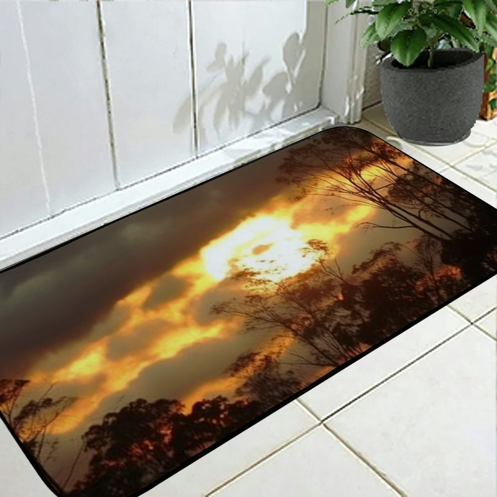 PHYHOO Decorative Door Mat, Door Mat with Non-Slip Rubber Backing, Easy Cleaning, Traps Dirt, Rug for Entry, Patio, Garage - Sunset Dawn Nature Sky Sun Armenia 19.68*47.24 in