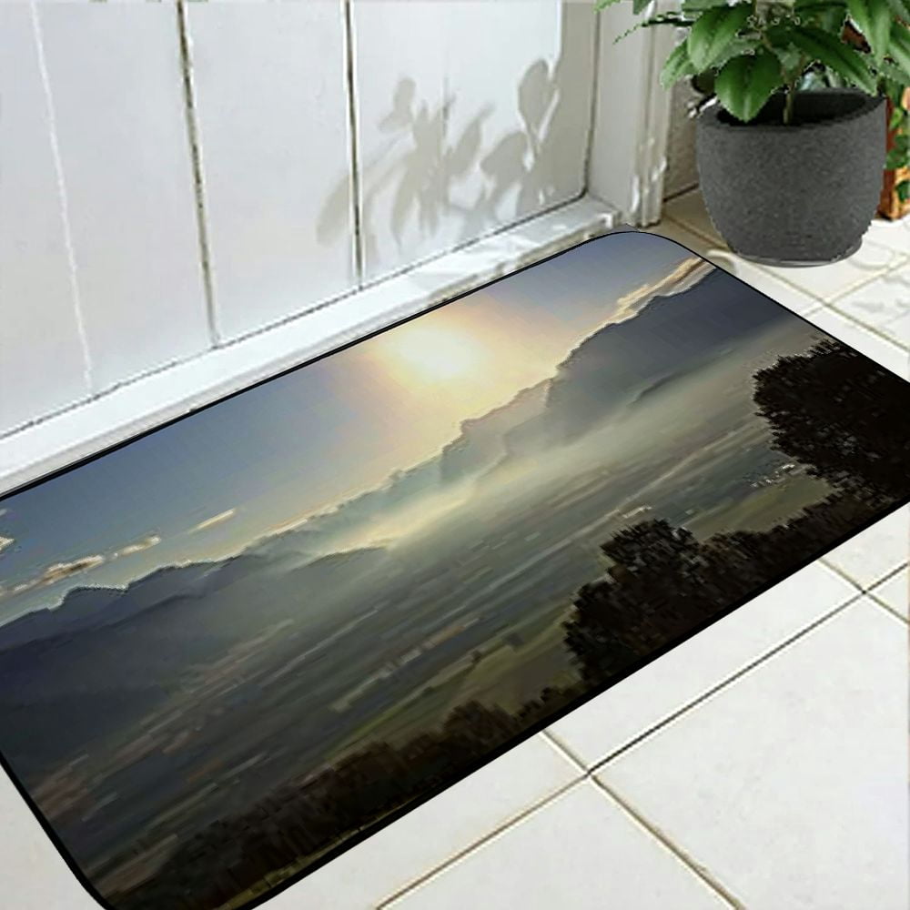 PHYHOO Decorative Door Mat, Door Mat with Non-Slip Rubber Backing, Easy Cleaning, Traps Dirt, Rug for Entry, Patio, Garage - Switzerland Bern Landscape Hiking Mountains Nature 19.68*47.24 in