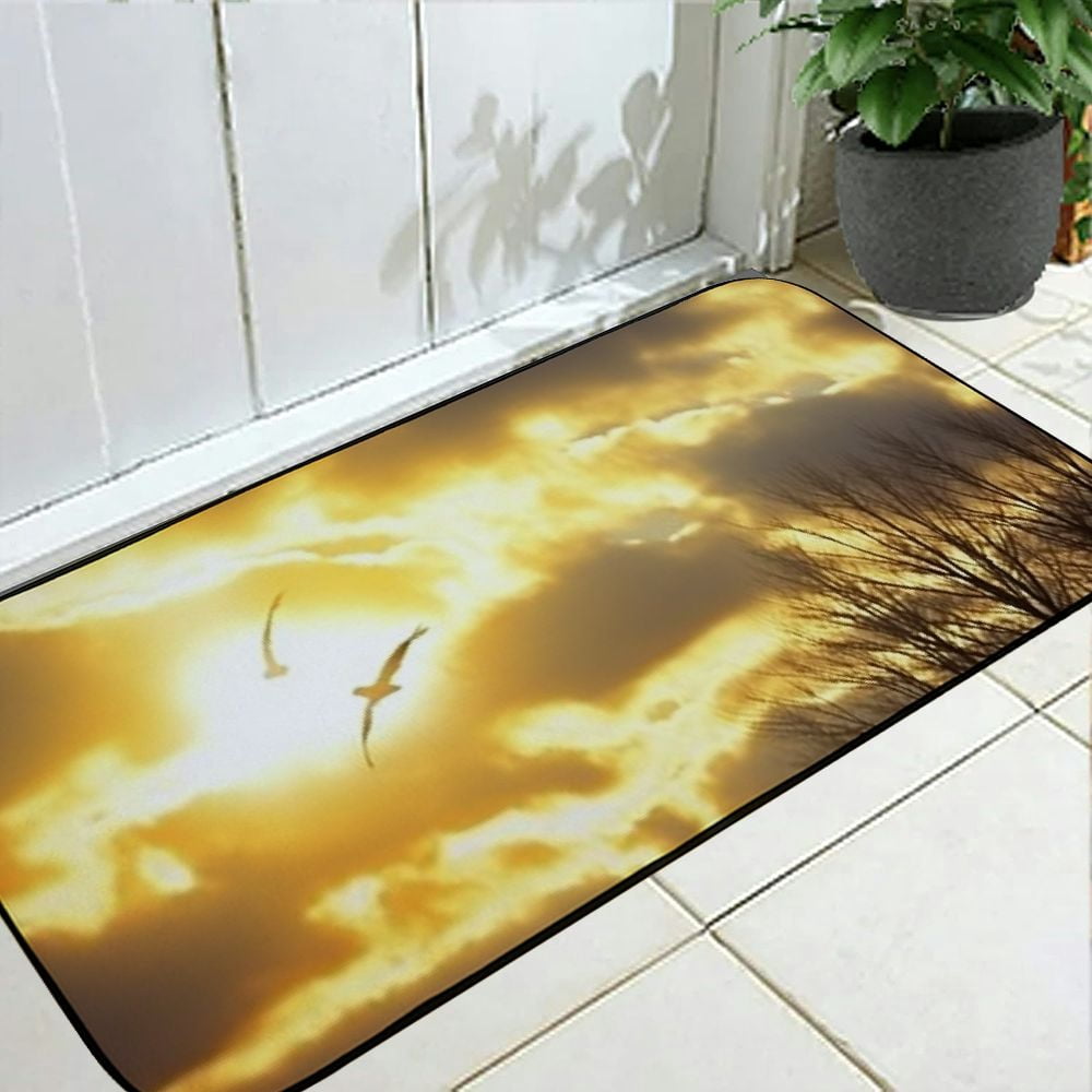 PHYHOO Decorative Door Mat, Door Mat with Non-Slip Rubber Backing, Easy Cleaning, Traps Dirt, Rug for Entry, Patio, Garage - Tree Branches Bare Autumn Fall Sunlight Sunshine 19.68*47.24 in