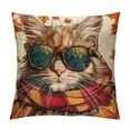thumbnail image 1 of PHYHOO  Fall Pillow Covers  Pumpkin Maple Leaf Cat Decorative Outdoor Throw Pillow Case Autumn Thanksgiving Farmhouse Decoration for Home Couch White, 1 of 5
