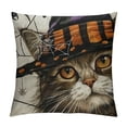 thumbnail image 1 of PHYHOO Halloween Throw Pillow Cover  Cat Decorations Farmhouse Decorative Cushion Case Decor Autumn for Home Sofa Couch, 1 of 5