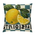 thumbnail image 1 of PHYHOO Hello Lemon Throw Pillow Covers, Spring Summer Cushion Case Decoration for Sofa Couch, 1 of 5
