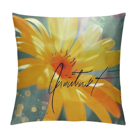 PHYHOO Throw Pillow Covers, Daisy Stripes Cushion Case for Sofa Couch