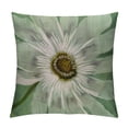 thumbnail image 1 of PHYHOO Vintage Floral Throw Pillow Covers Sunflower&nbsp;Daisy Flowers Home Decorative Pillow Covers Rustic Outdoor Flower Pattern Cushion Cover  Sofa Bedroom Decor Pillow Cases White, 1 of 5