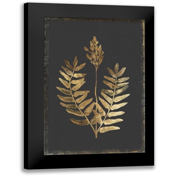 PI Collection 11x14 Black Modern Framed Museum Art Print Titled - Flowering Fern