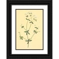 thumbnail image 1 of PI Collection 11x14 Black Ornate Wood Framed with Double Matting Museum Art Print Titled - Sweet Scented Bedstraw, 1 of 4