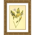 thumbnail image 1 of PI Collection 11x14 Gold Ornate Wood Framed with Double Matting Museum Art Print Titled - Wild Mock, 1 of 4