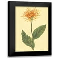 thumbnail image 1 of PI Collection 13x18 Black Modern Framed Museum Art Print Titled - Ellecampane, 1 of 5