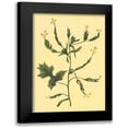 thumbnail image 1 of PI Collection 13x18 Black Modern Framed Museum Art Print Titled - Hedge Mustard, 1 of 5