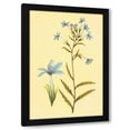 thumbnail image 1 of PI Collection 13x18 Black Modern Wood Framed Wall Art Titled - Palmerella Debillis Serratta, 1 of 6