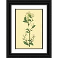 thumbnail image 1 of PI Collection 13x18 Black Ornate Wood Framed with Double Matting Museum Art Print Titled - Service Berry and Shad Bush, 1 of 4