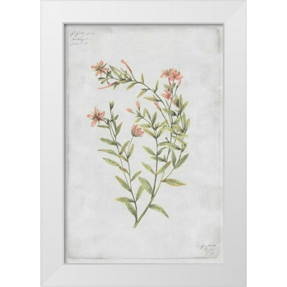 PI Collection 13x18 White Modern Wood Framed Museum Art Print Titled - Buds Vol. IV Tav