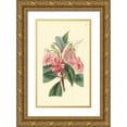 thumbnail image 1 of PI Collection 16x24 Gold Ornate Wood Framed with Double Matting Museum Art Print Titled - Impatiens Platypetala, 1 of 4