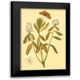 thumbnail image 1 of PI Collection 17x24 Black Modern Framed Museum Art Print Titled - Labrador Tea, 1 of 5