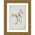 thumbnail image 1 of PI Collection 17x24 Gold Ornate Wood Framed with Double Matting Museum Art Print Titled - Epilobium Rigidum, 1 of 4