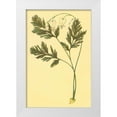 thumbnail image 1 of PI Collection 17x24 White Modern Wood Framed Museum Art Print Titled - Squirrel Corn, 1 of 4