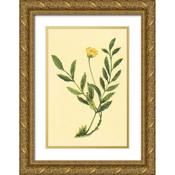 PI Collection 23x32 Gold Ornate Wood Framed with Double Matting Museum Art Print Titled - Silver Weed