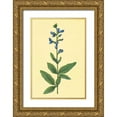 thumbnail image 1 of PI Collection 23x32 Gold Ornate Wood Framed with Double Matting Museum Art Print Titled - Tick Trefoil, 1 of 4