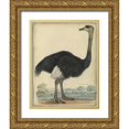 thumbnail image 1 of PI Collection 26x32 Gold Ornate Wood Framed with Double Matting Museum Art Print Titled - The Ostrich, 1 of 4