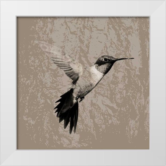 PI Studio 12x12 White Modern Wood Framed Museum Art Print Titled - Feathered I