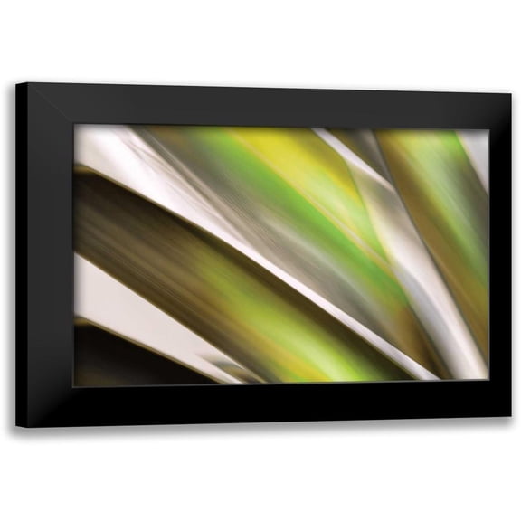 PI Studio 14x11 Black Modern Framed Museum Art Print Titled - Organic VI