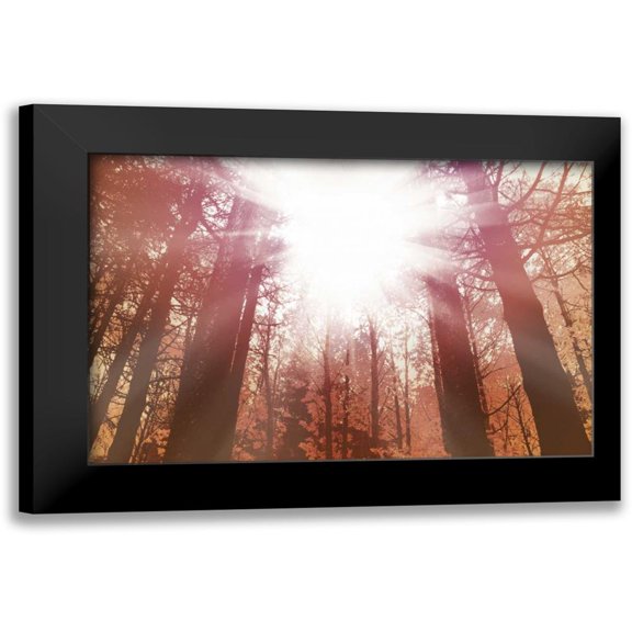 PI Studio 14x11 Black Modern Framed Museum Art Print Titled - Sun Dance