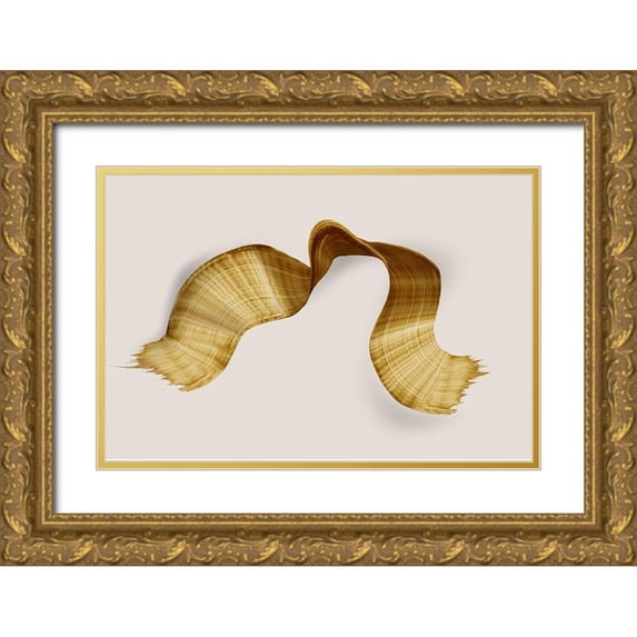 PI Studio 18x13 Gold Ornate Wood Framed with Double Matting Museum Art Print Titled - Golden Stroke