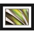 thumbnail image 1 of PI Studio 18x14 Black Ornate Wood Framed with Double Matting Museum Art Print Titled - Organic VI, 1 of 4