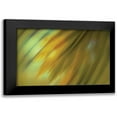 thumbnail image 1 of PI Studio 24x17 Black Modern Framed Museum Art Print Titled - Tie Dye III, 1 of 5