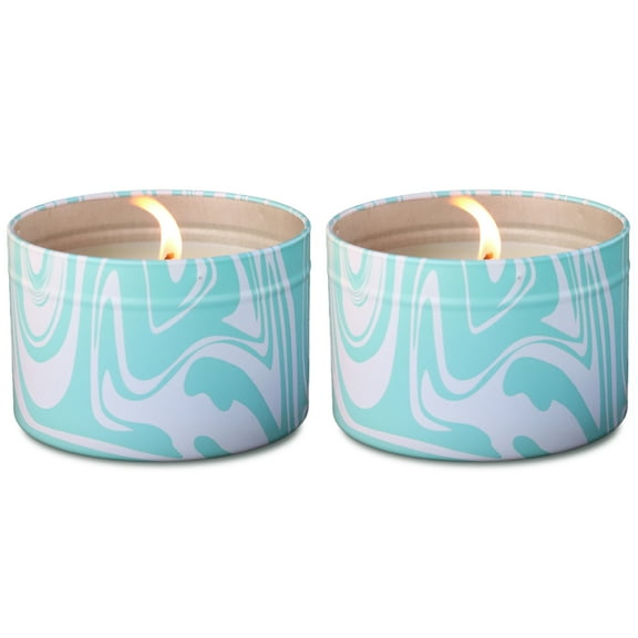PIC Corporation Mosquito Repellent Candle, Upto 30 Hours Burn Time, Summer Scent, 2 Pack