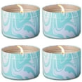 thumbnail image 1 of Pic Corporation Mosquito Repellent Candle With 30 Hours Burn Time Summer Scent 4 Pack, 1 of 8