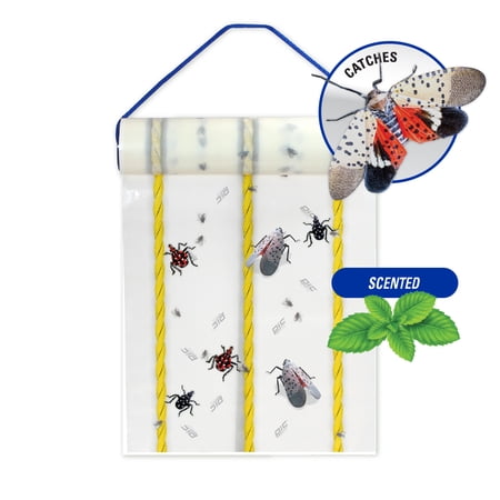 PIC Spotted Lantern Fly Insect Trap 20 ft