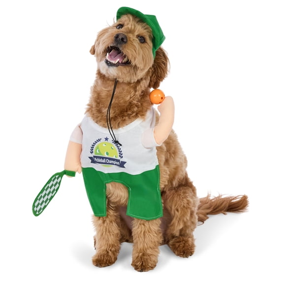 Vibrant Life Halloween Pickleball Player Costume for Dogs, Multicolor, Medium