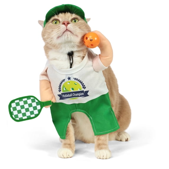 Vibrant Life Halloween Pickleball Player Costume for Dogs and Cats, Multicolor, Small