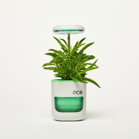 PICO Planter
